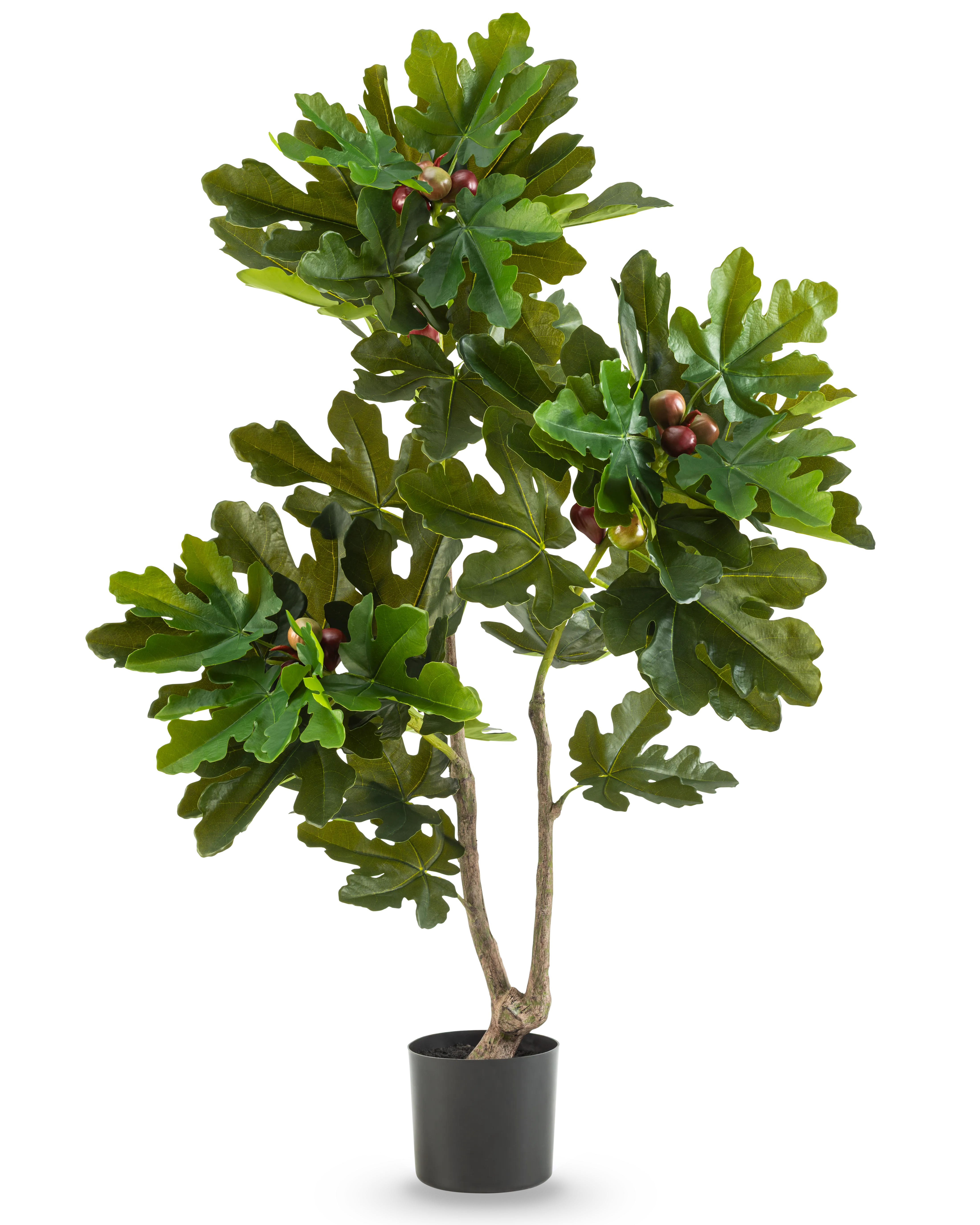 Miniatuur 1