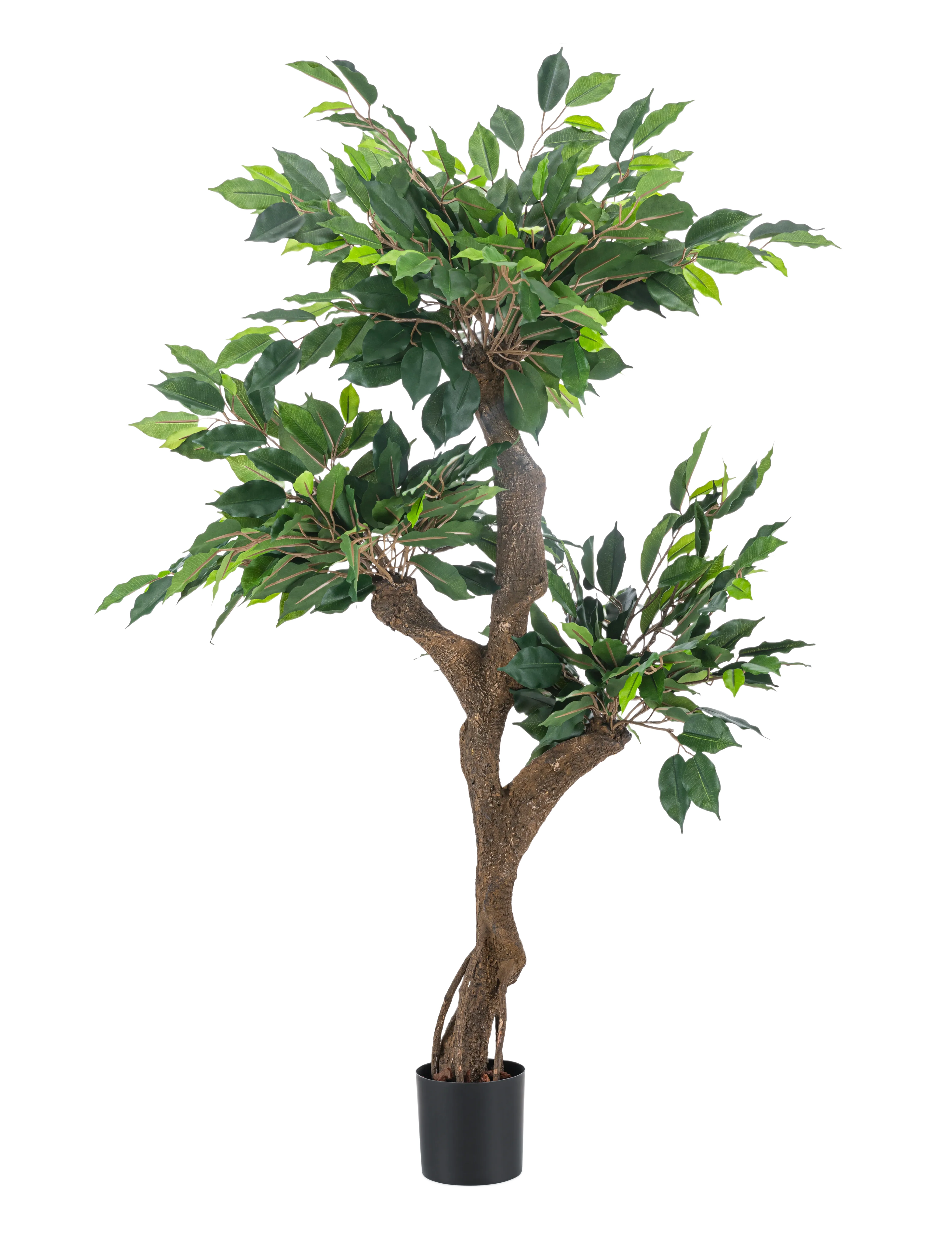 Miniatuur 1