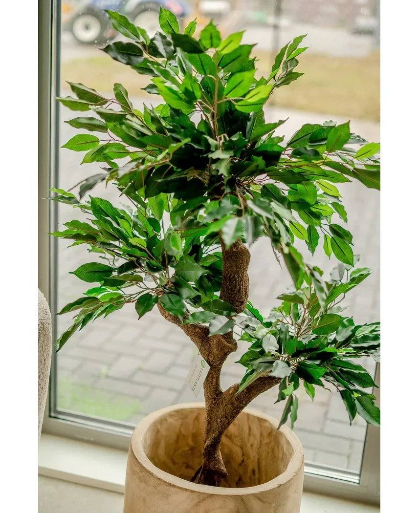Miniatuur 2