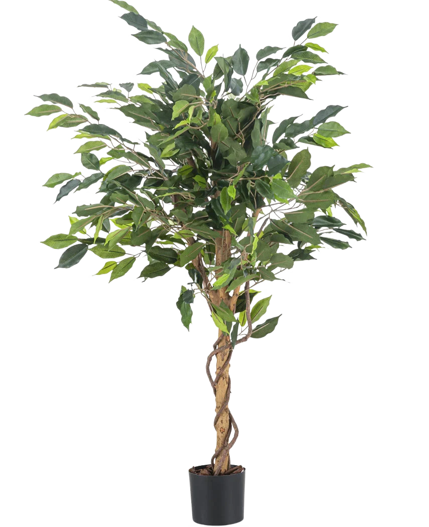 Miniatuur 1