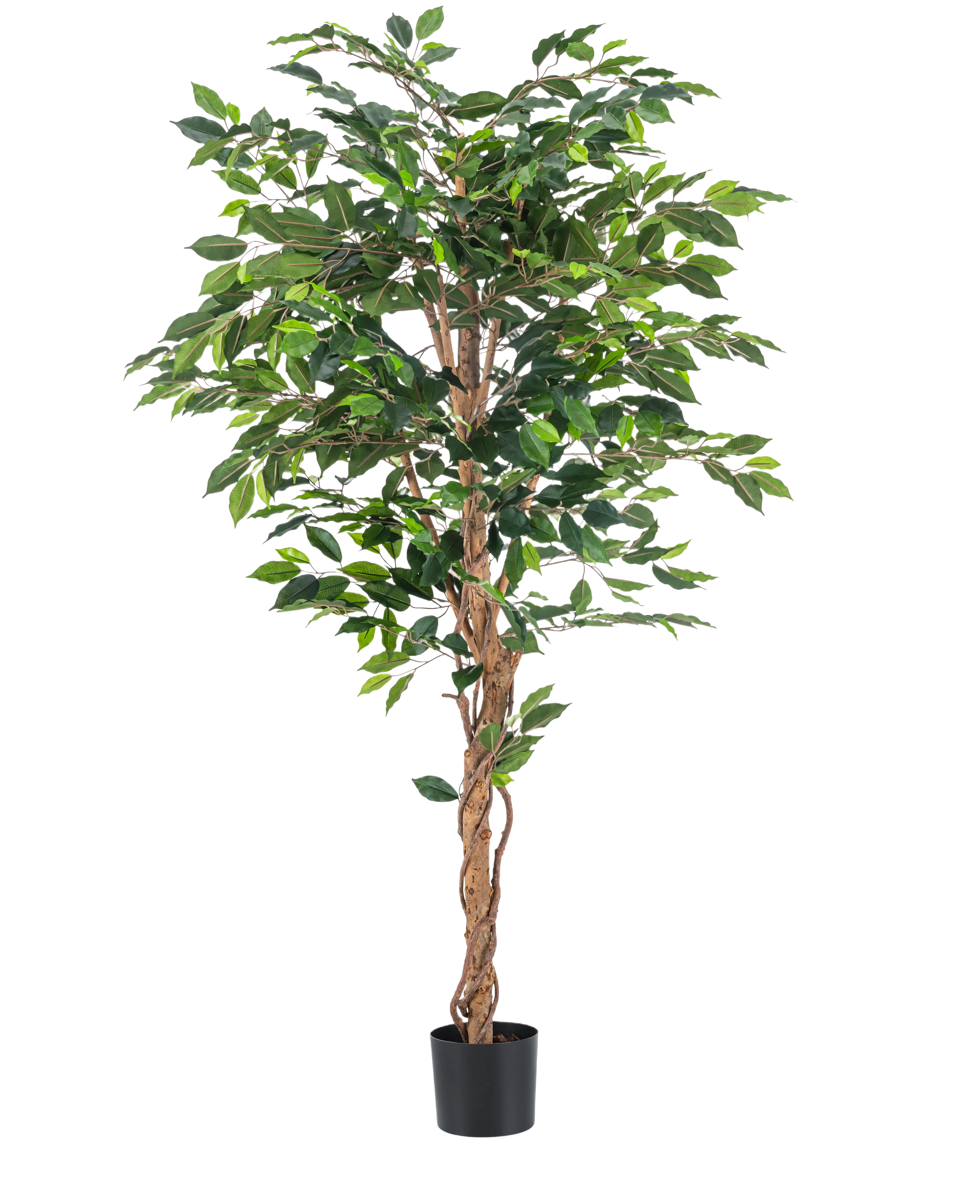 Miniatuur 1