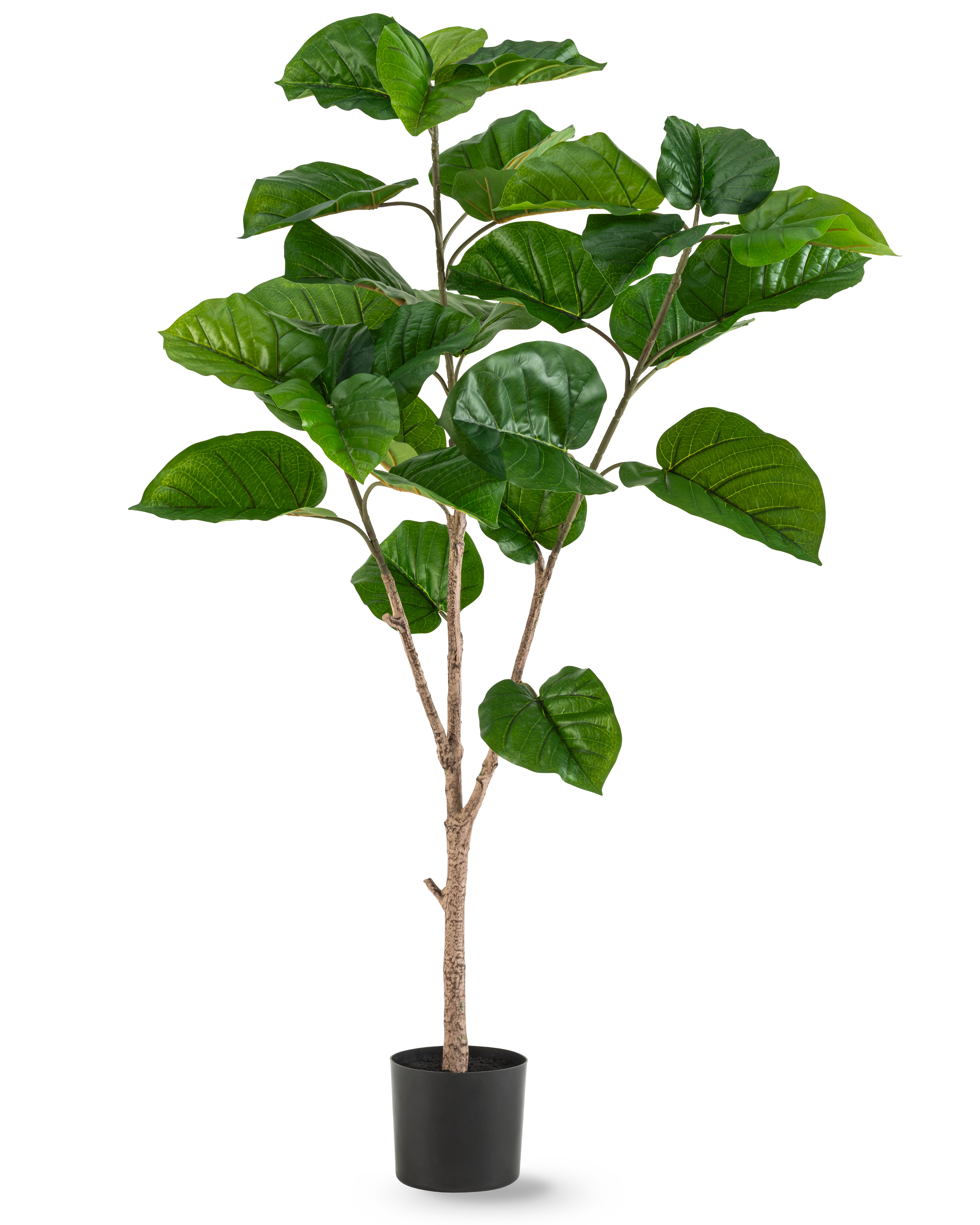 Miniatuur 1