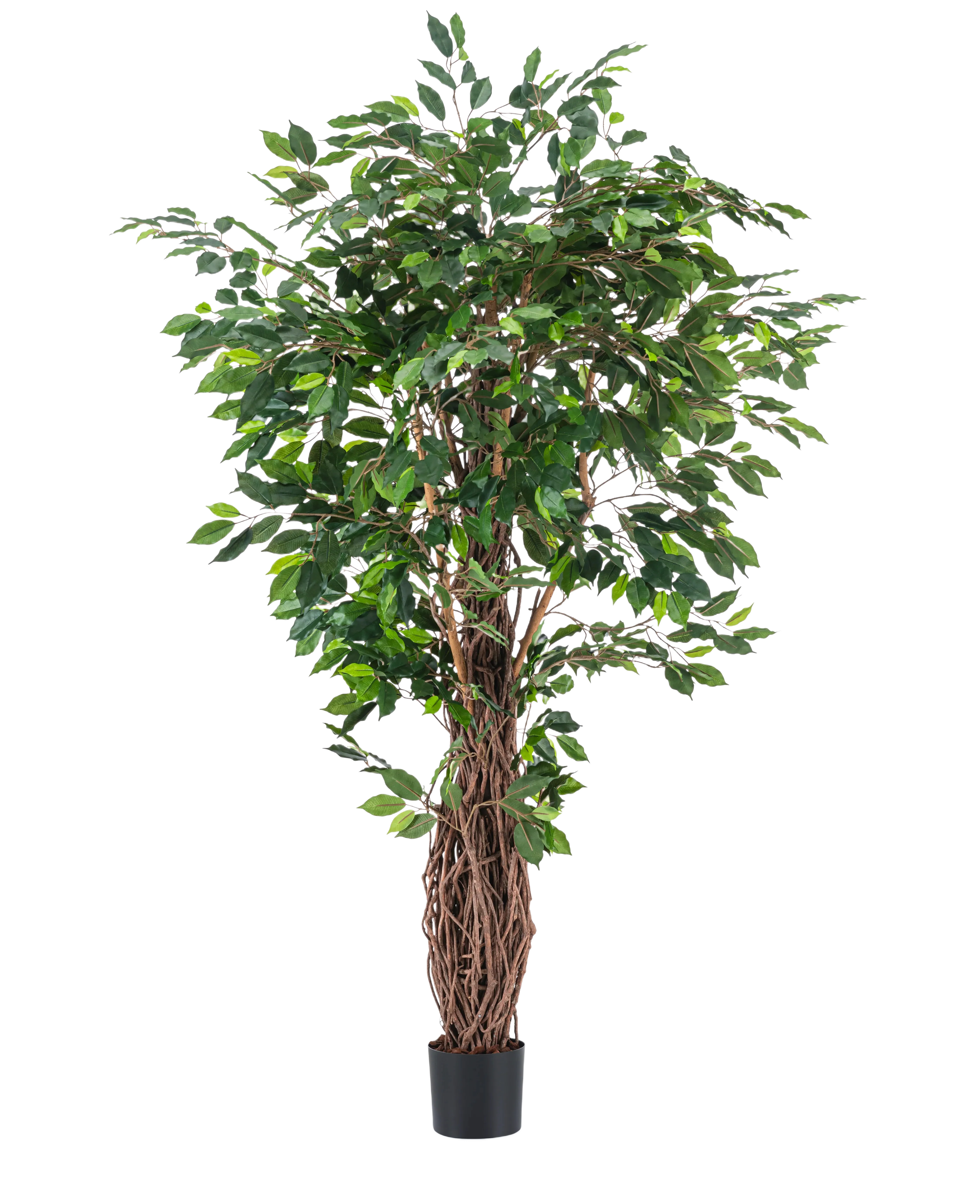 Miniatuur 1