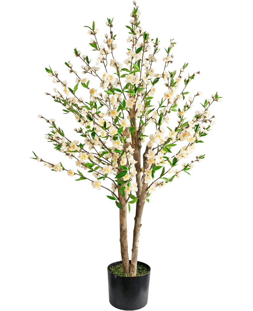 Miniatuur 1
