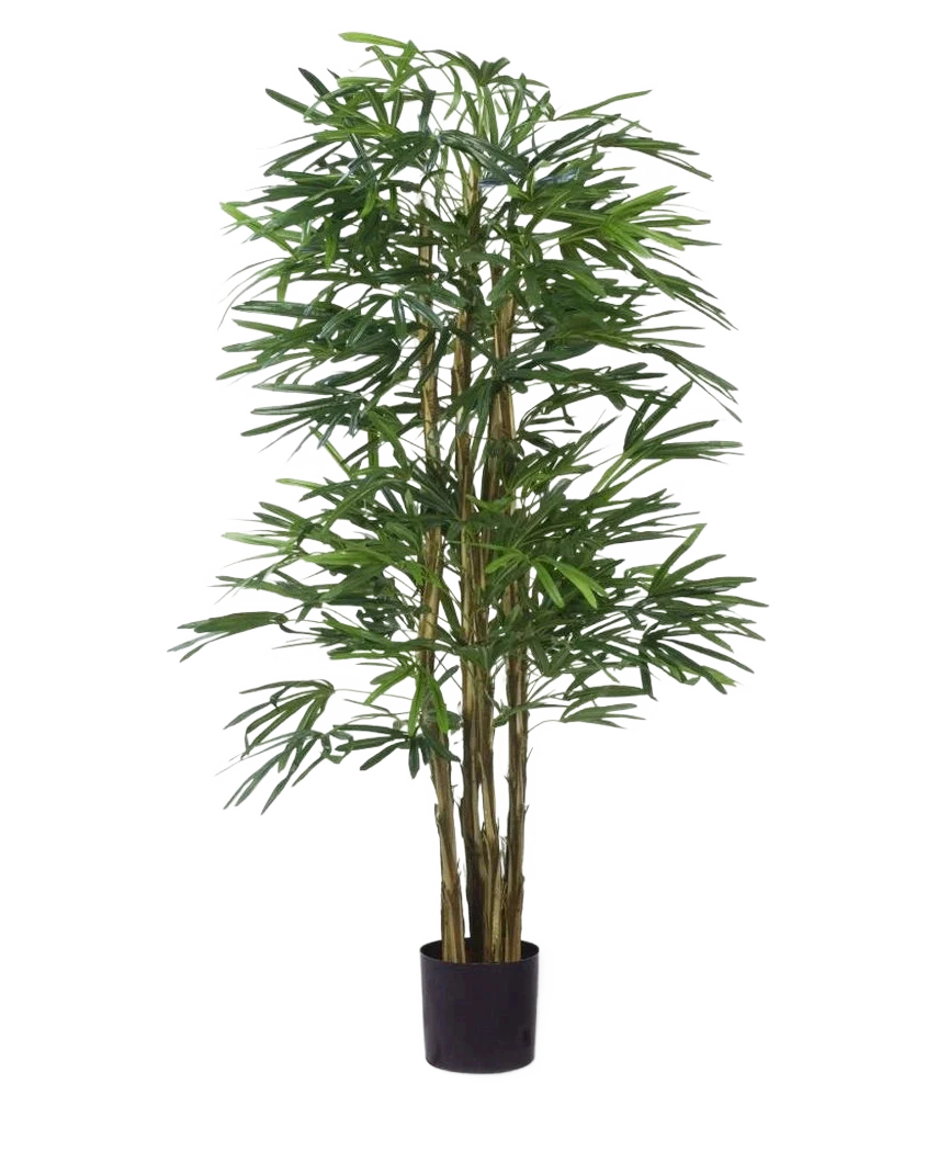 Miniatuur 1