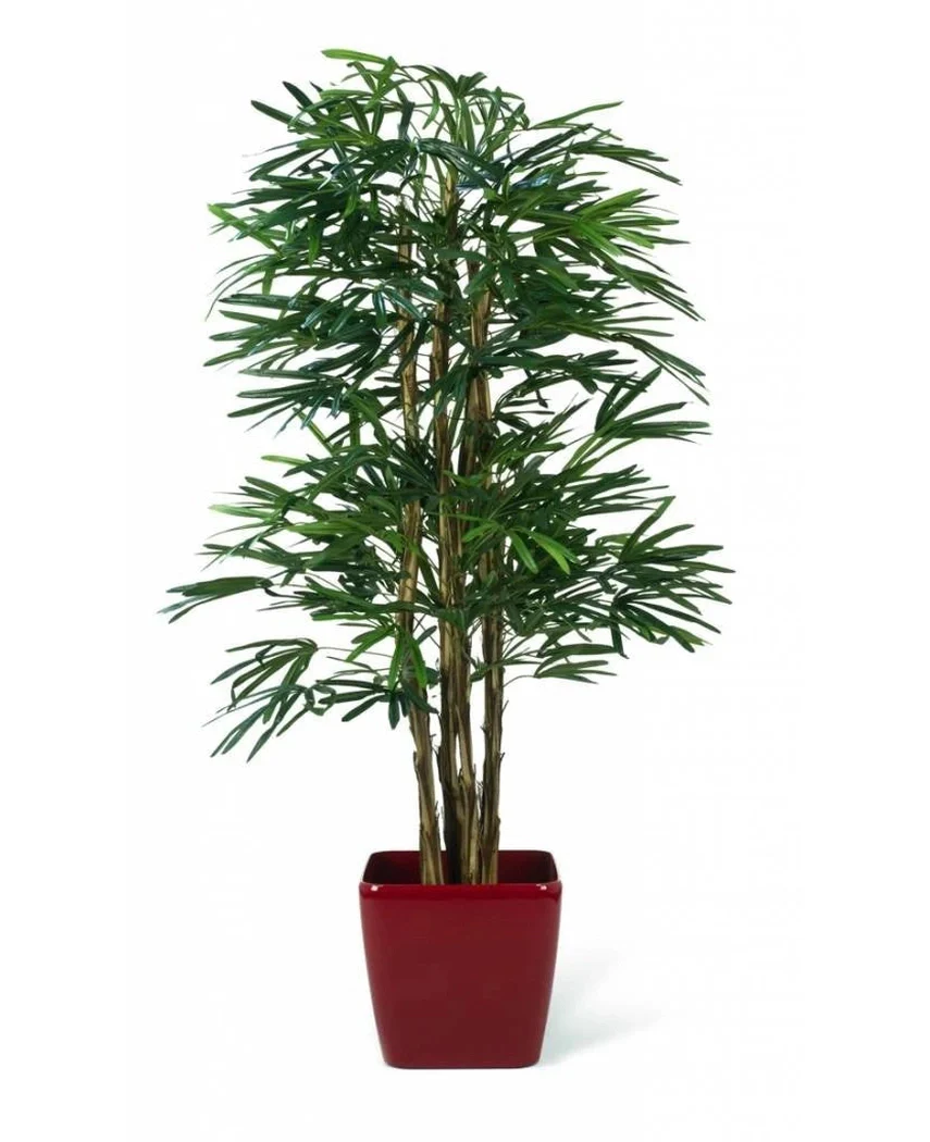 Miniatuur 1
