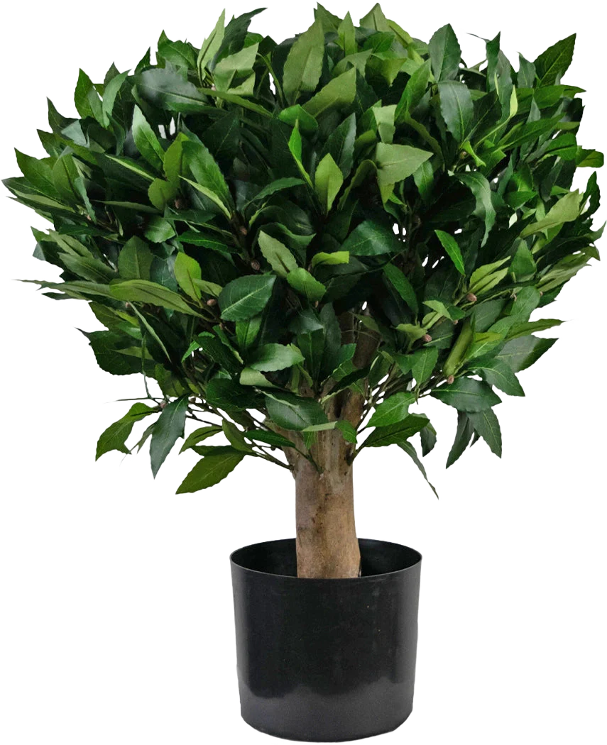 Miniatuur 1