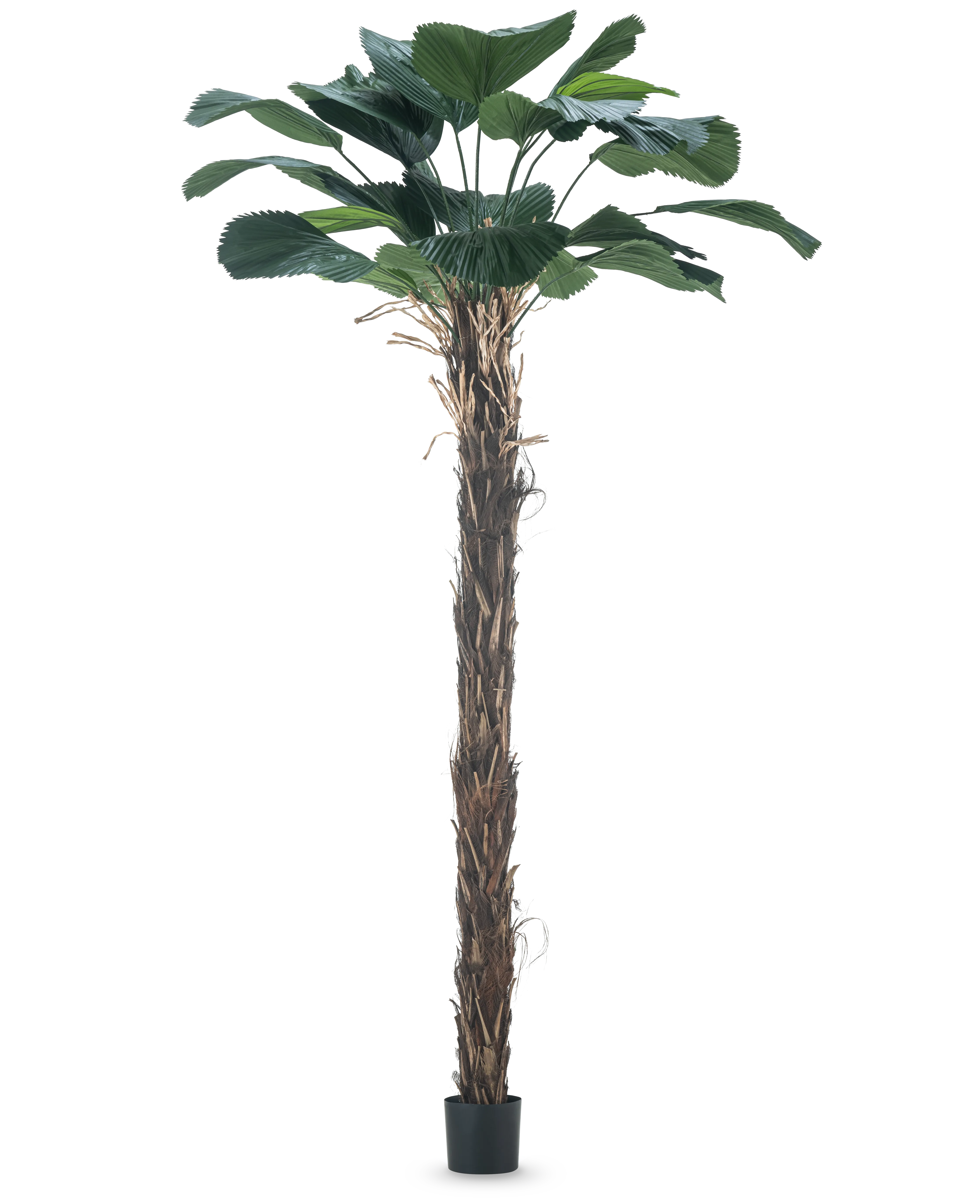 Miniatuur 1