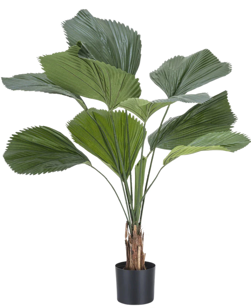Miniatuur 1