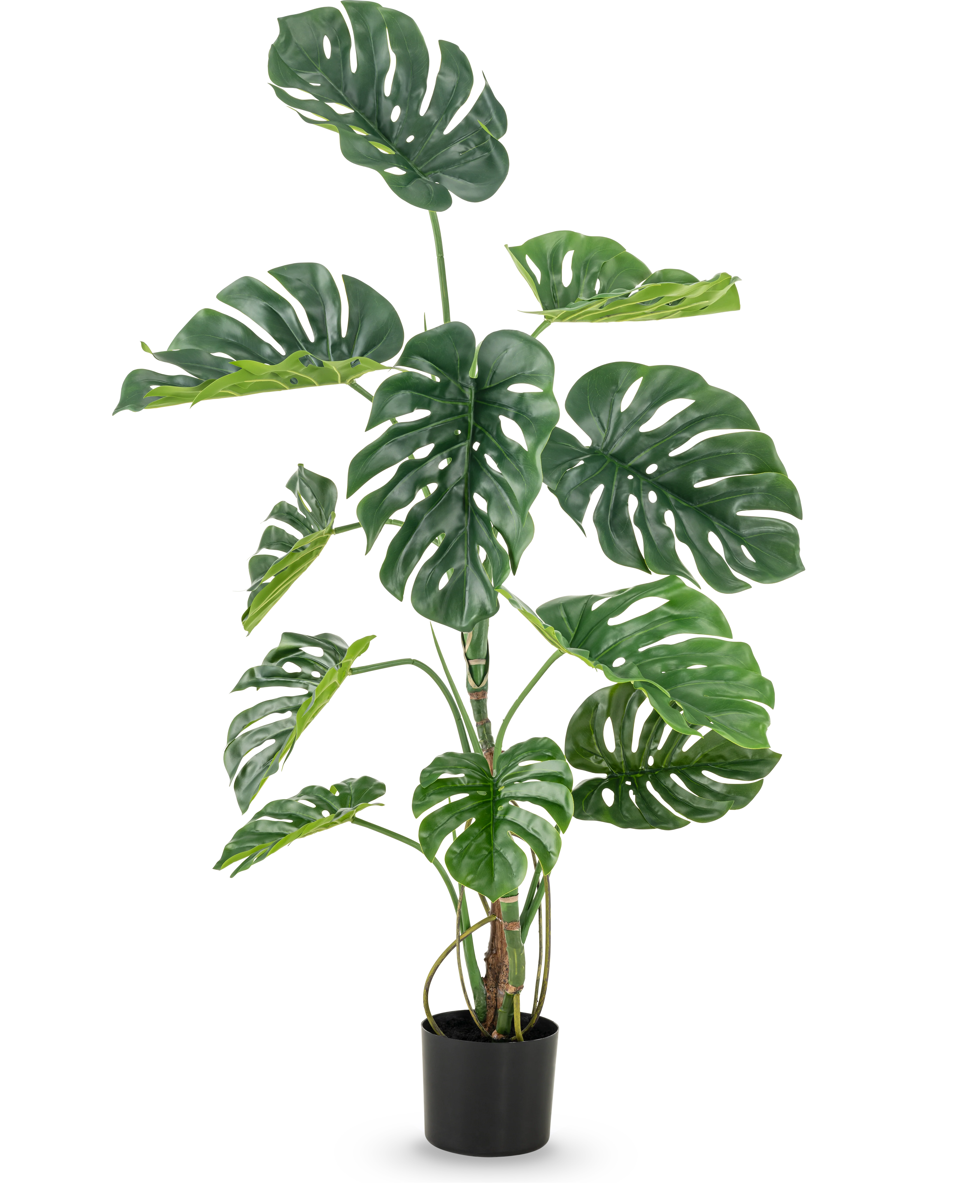 Miniatuur 1