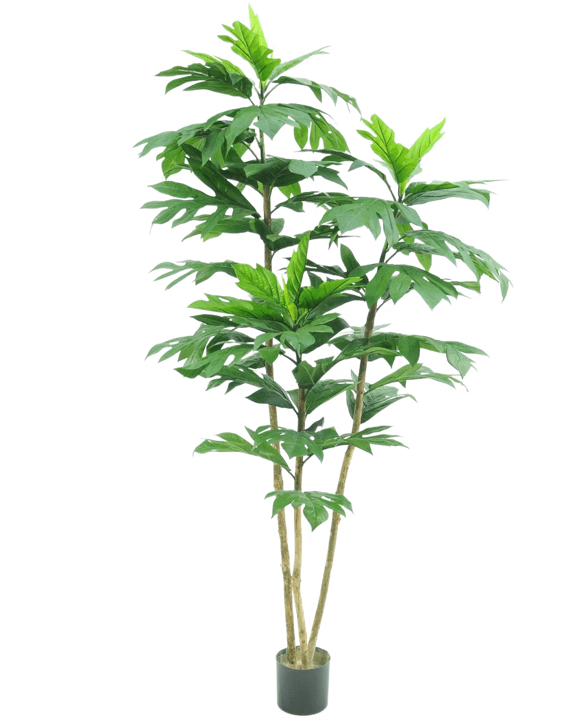 Miniatuur 1