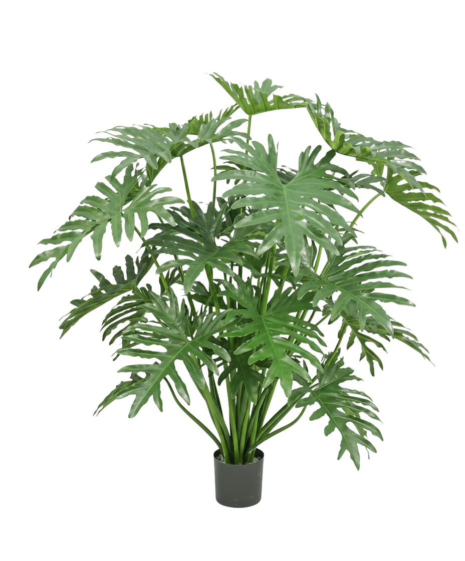 Miniatuur 1