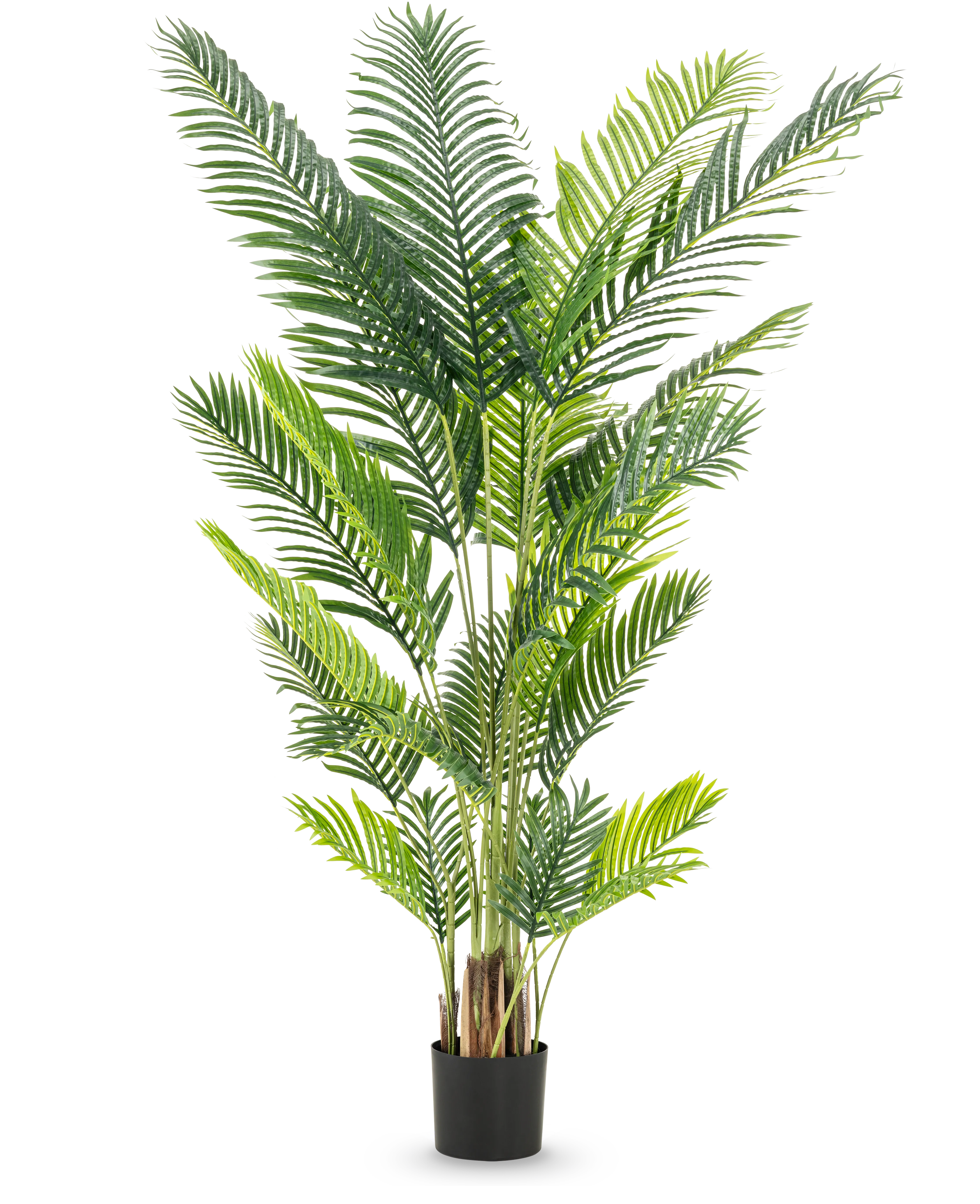 Miniatuur 1
