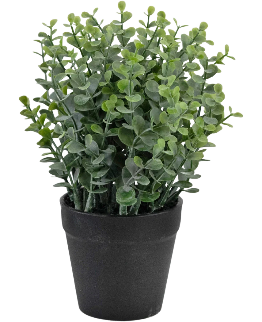Miniatuur 1