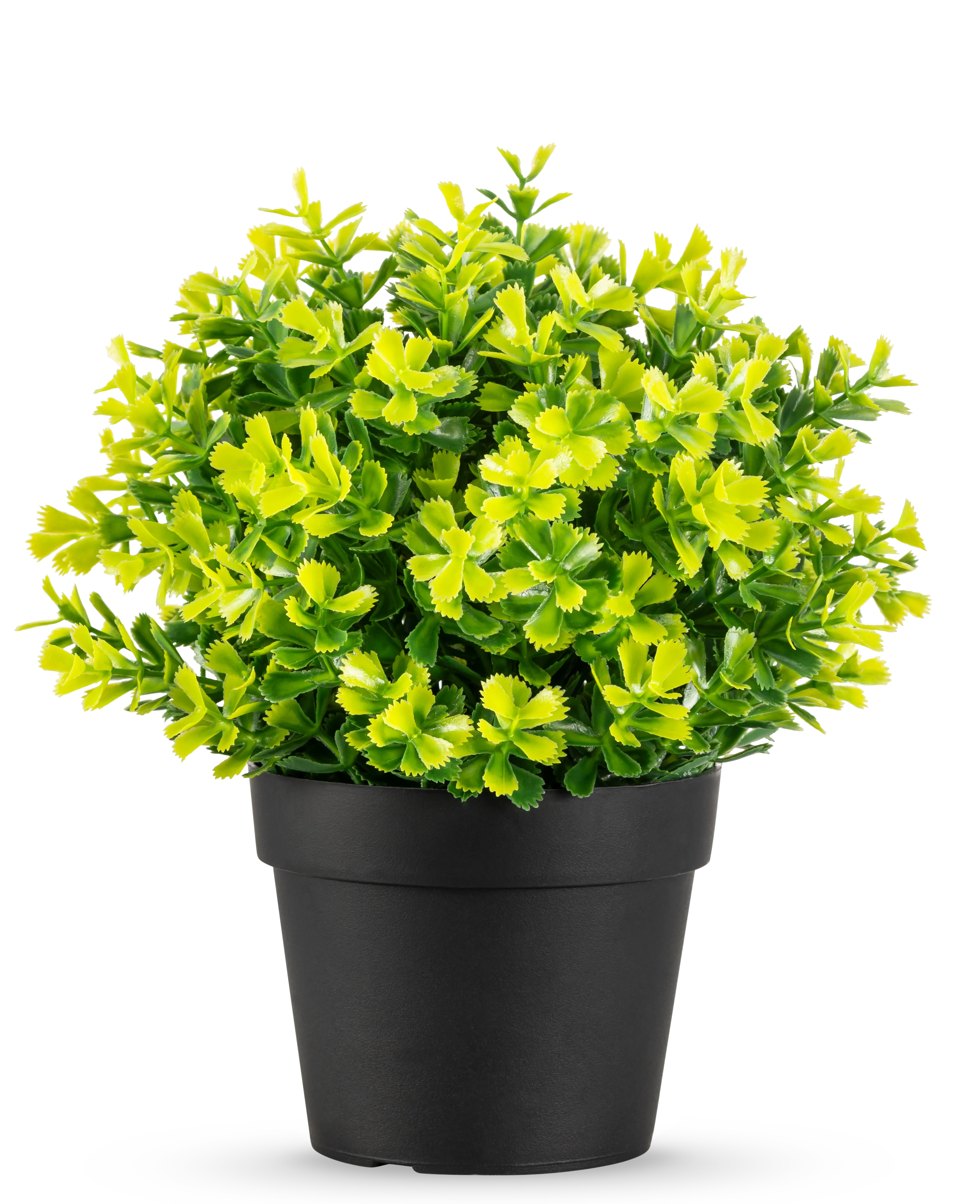 Miniatuur 1