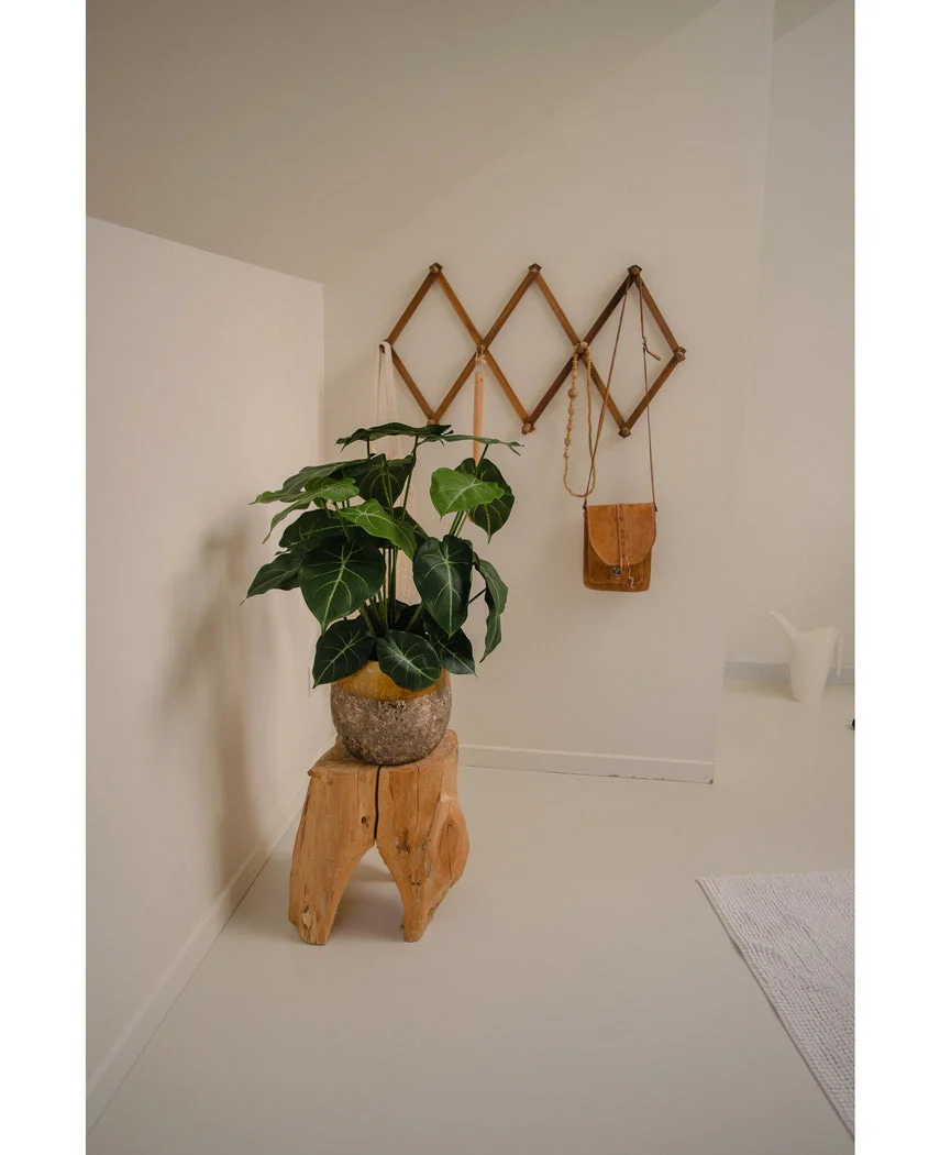 Miniatuur 2