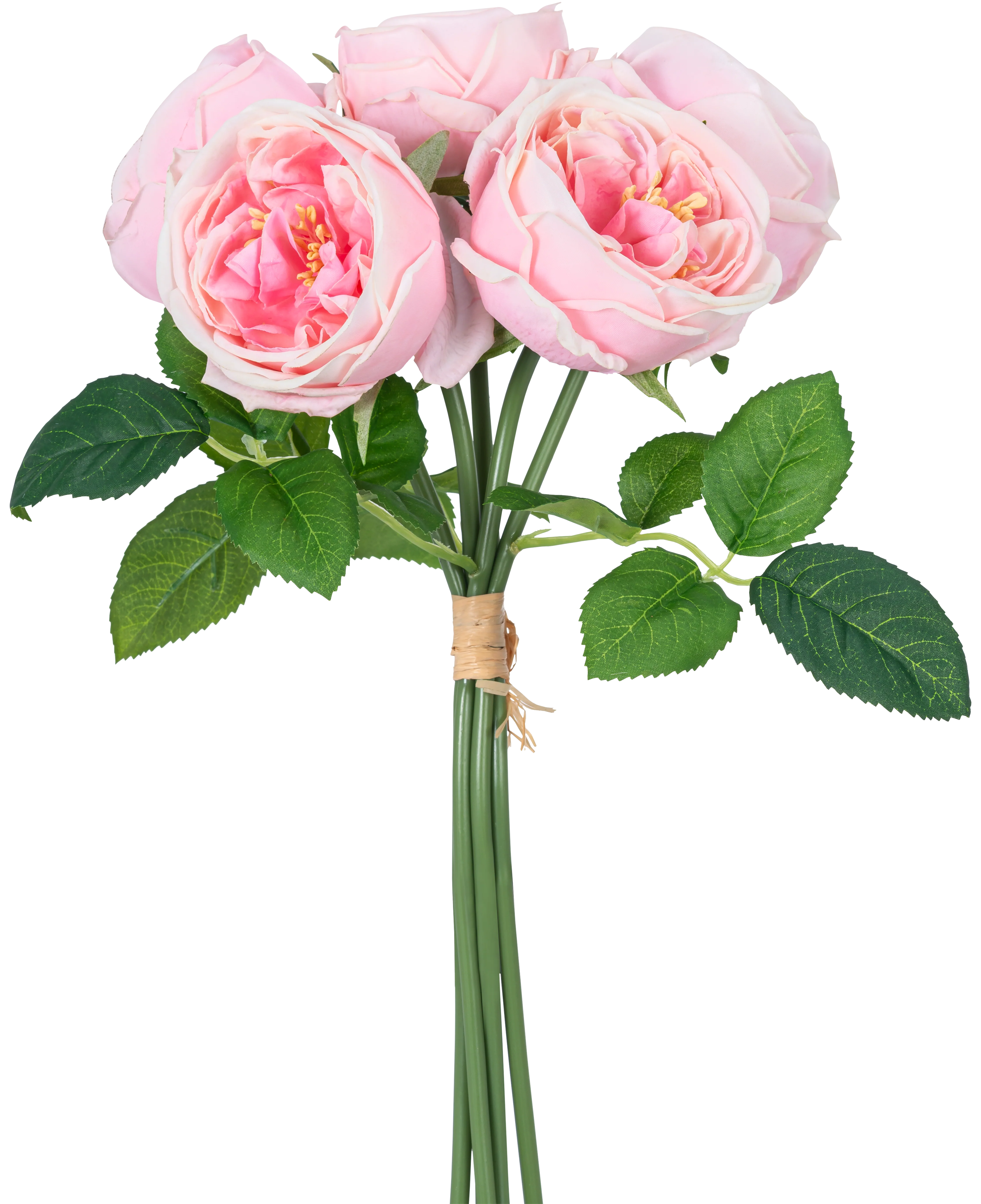 Miniatuur 1