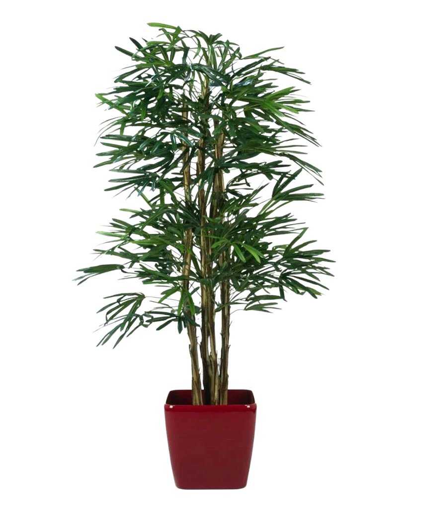 Miniatuur 1