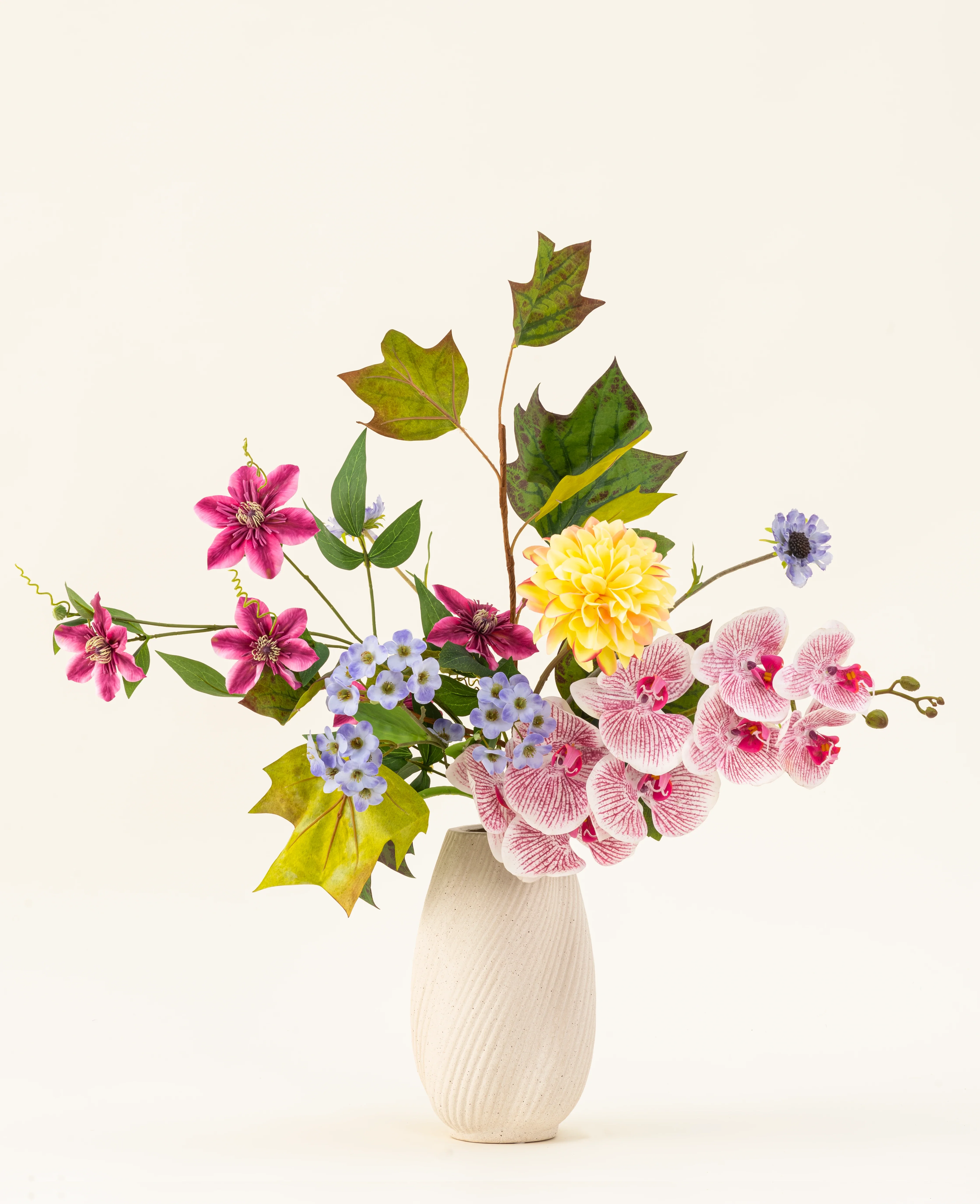 Miniatuur 1