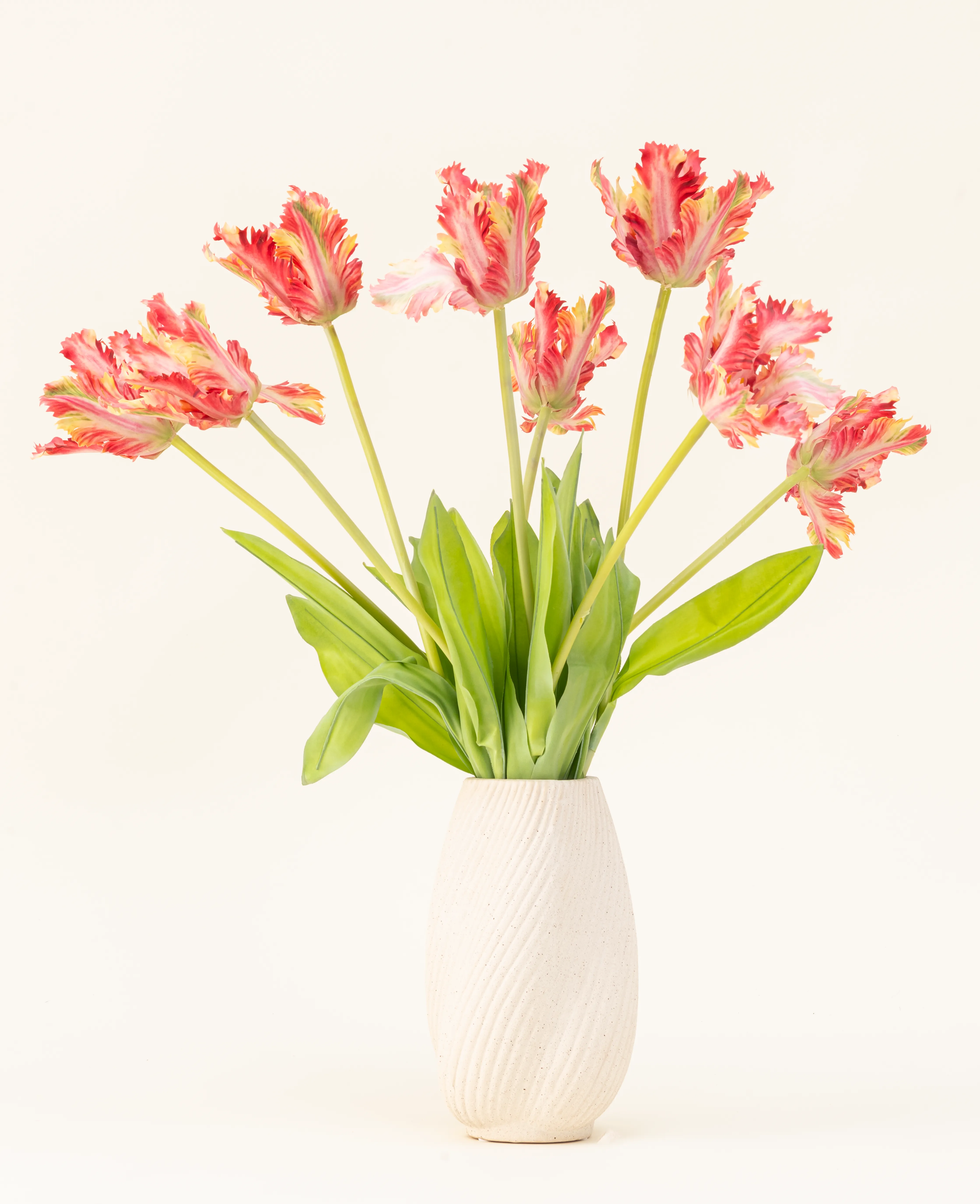 Miniatuur 1