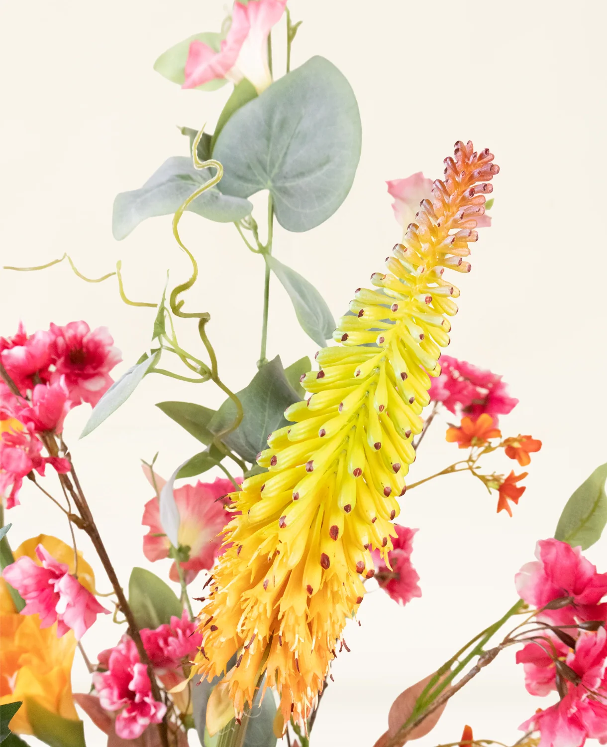 Miniatuur 2